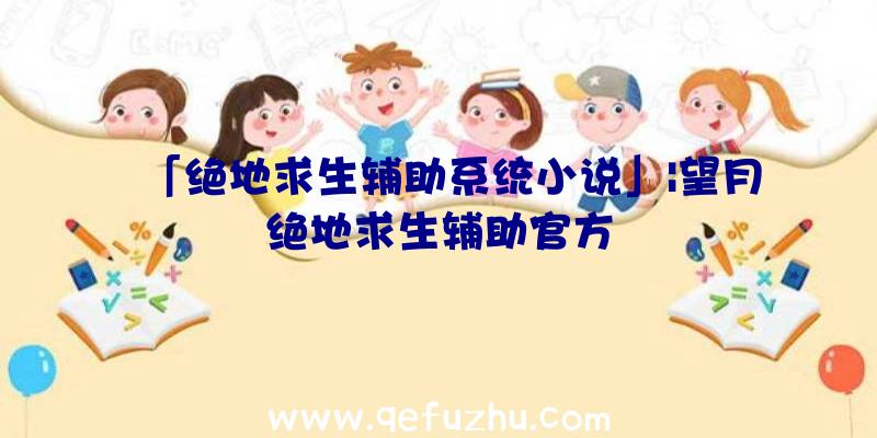 「绝地求生辅助系统小说」|望月绝地求生辅助官方